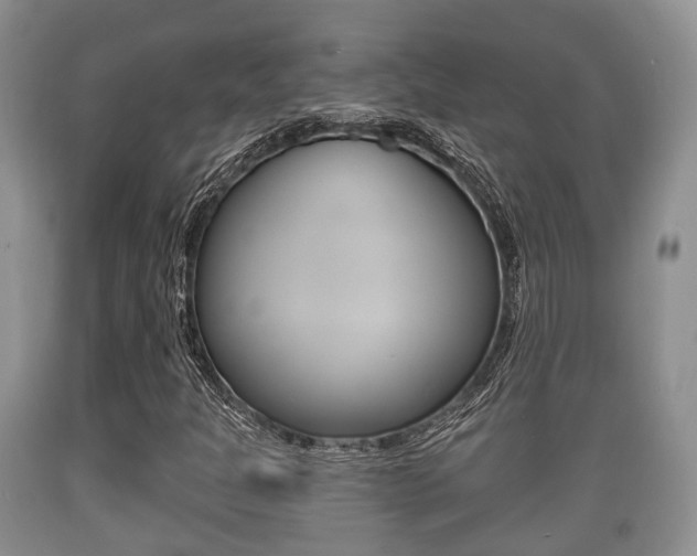 X0000089761301200706210945