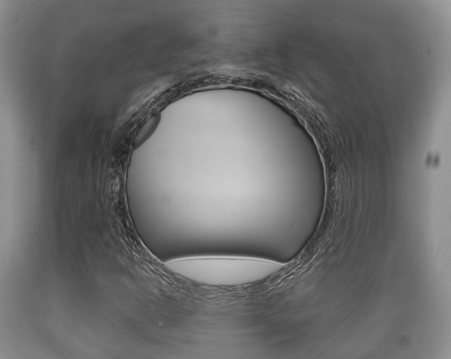 X0000089761302200706210945