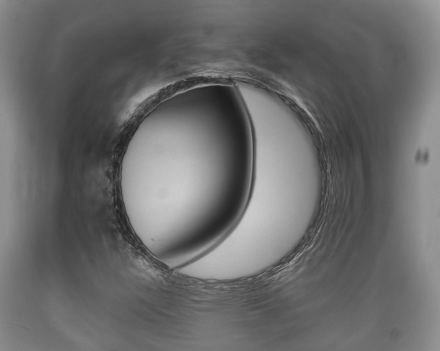 X0000089761304200706210945