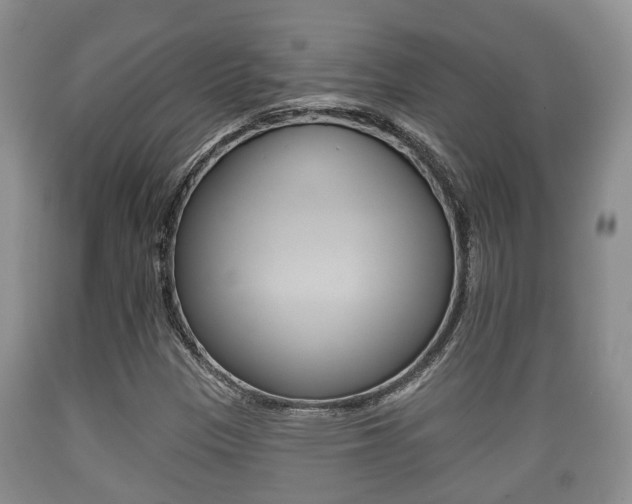 X0000089761305200706210945