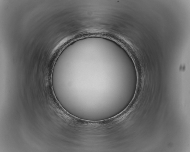 X0000089761306200706210945