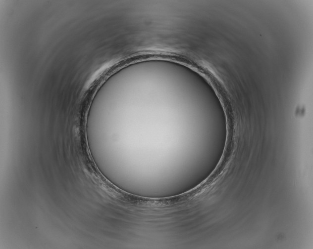 X0000089761307200706210945