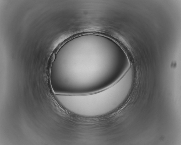 X0000089761308200706210945