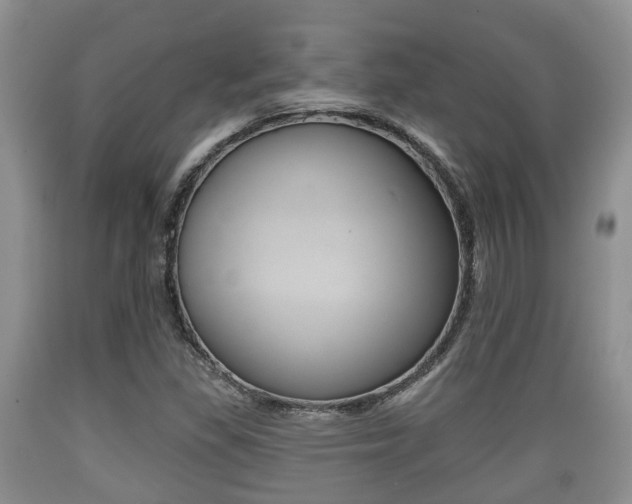 X0000089761309200706210945