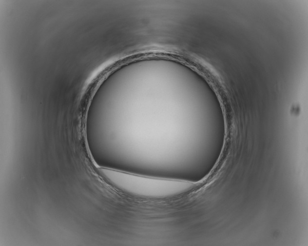 X0000089761310200706210945