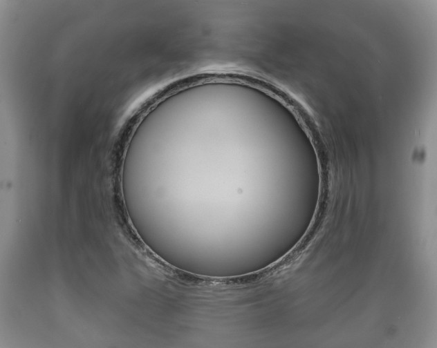 X0000089761311200706210945