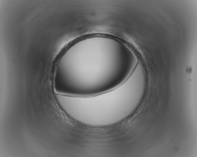 X0000089761312200706210945