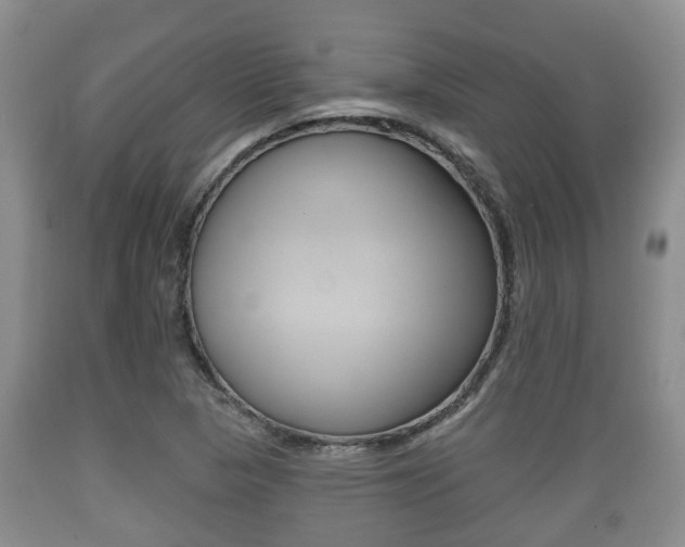 X0000089761313200706210945