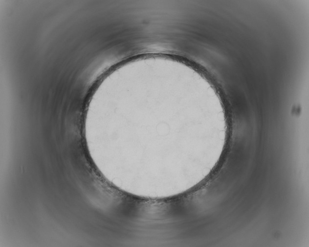 X0000089761314200706210945