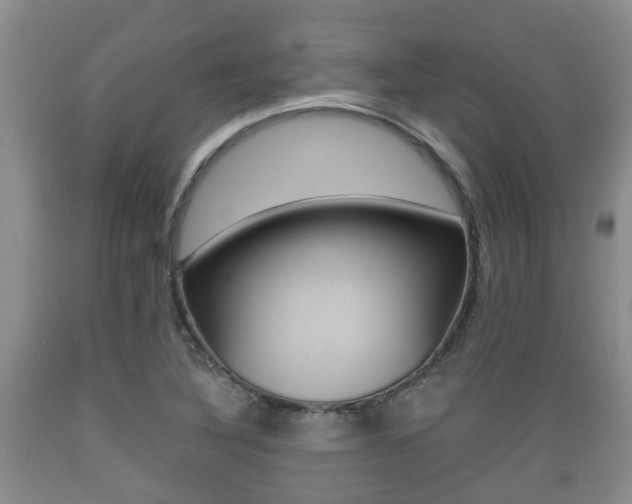 X0000089761316200706210945
