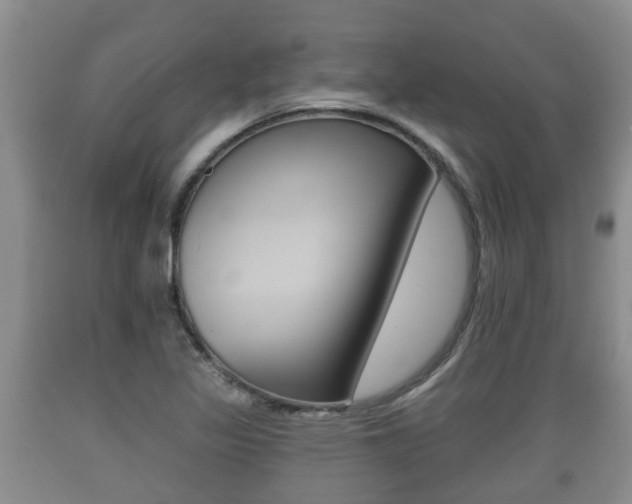 X0000089761317200706210945