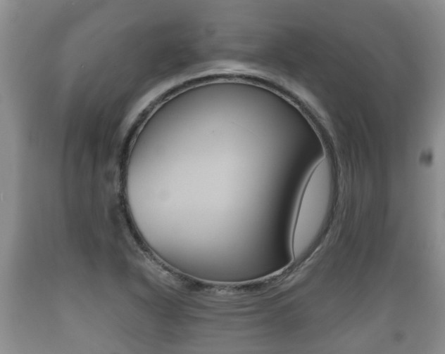 X0000089761318200706210945