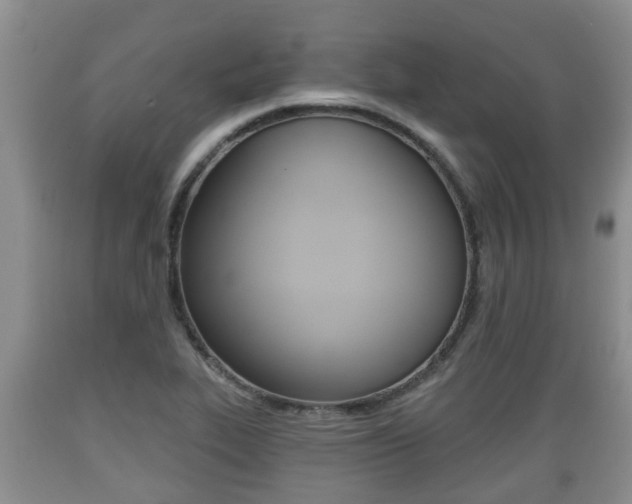 X0000089761319200706210945
