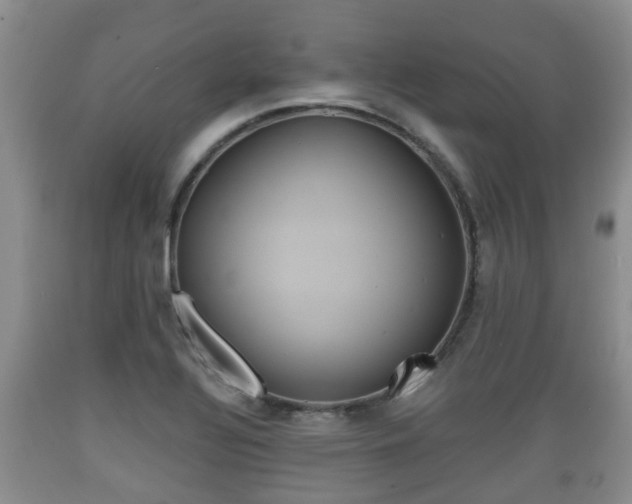 X0000089761320200706210945
