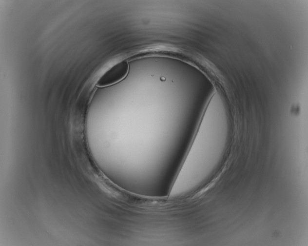 X0000089761321200706210945