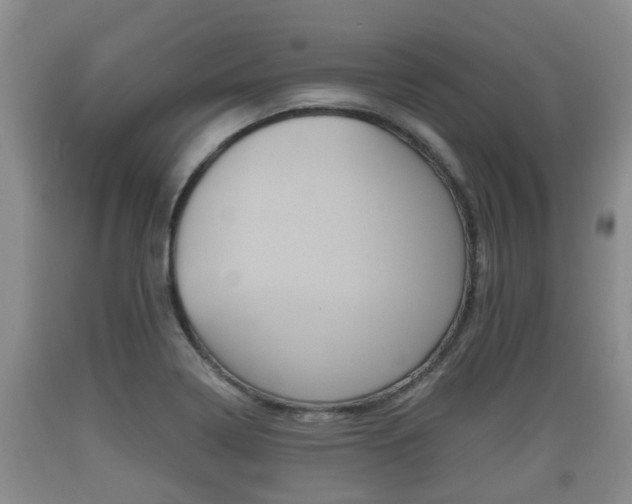 X0000089761322200706210945