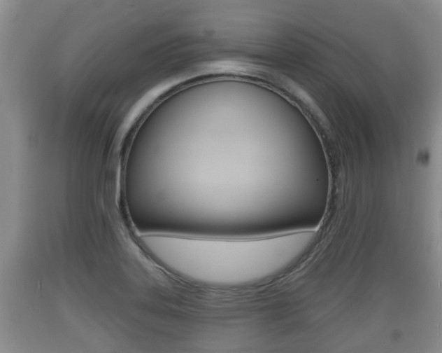 X0000089761323200706210945