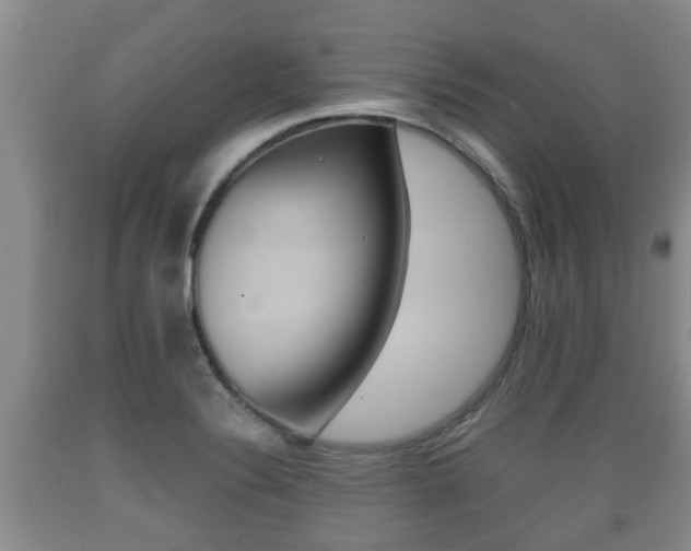 X0000089761324200706210945