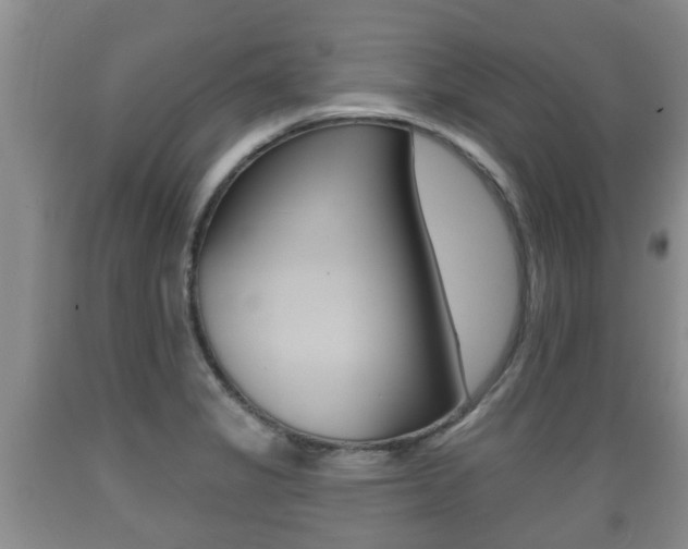 X0000089761325200706210945