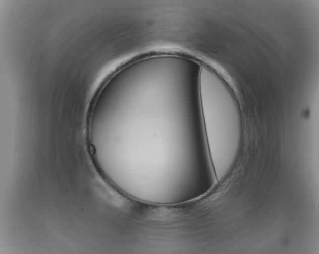 X0000089761327200706210945