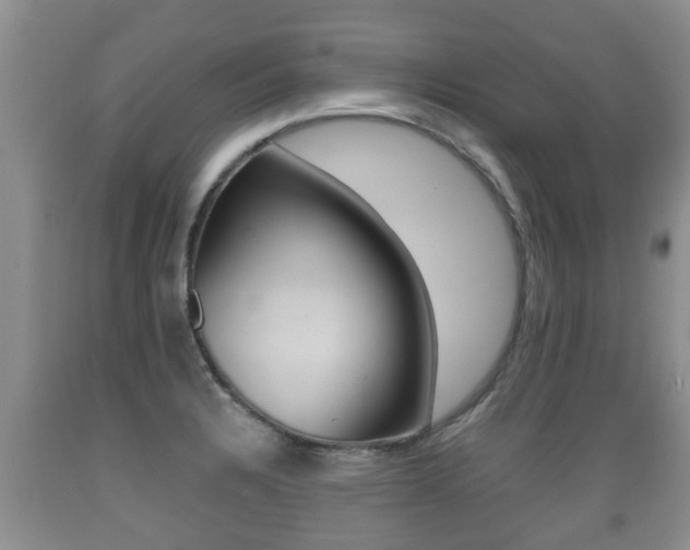 X0000089761328200706210945