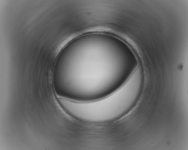 X0000089761329200706210945