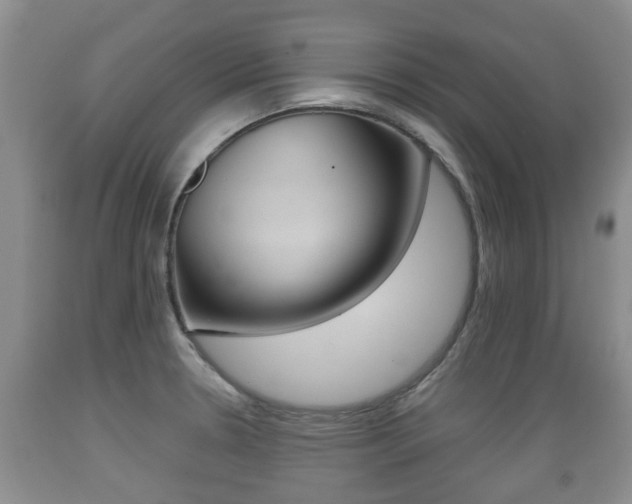 X0000089761330200706210945