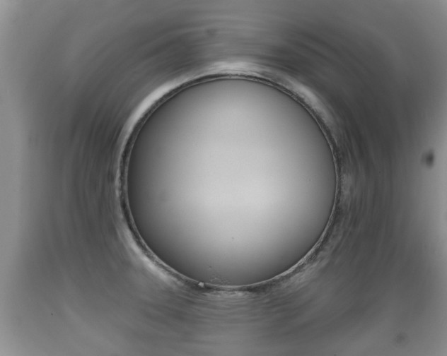 X0000089761331200706210945