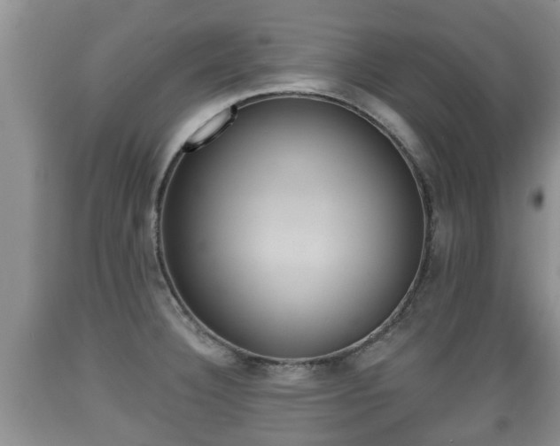 X0000089761332200706210945
