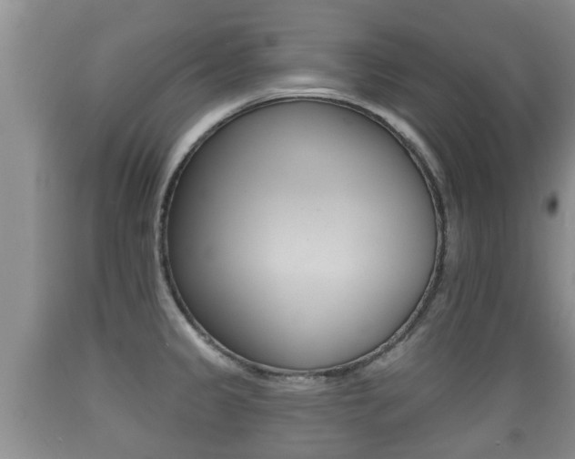 X0000089761333200706210945