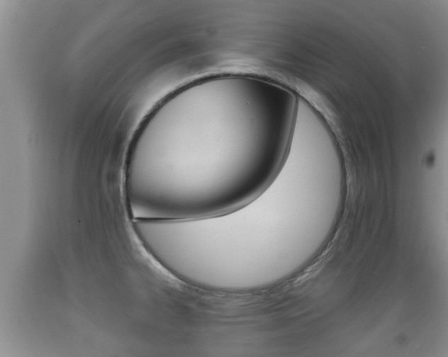 X0000089761334200706210945