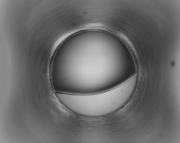 X0000089761336200706210945