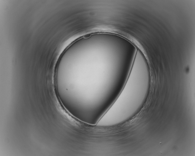 X0000089761339200706210945