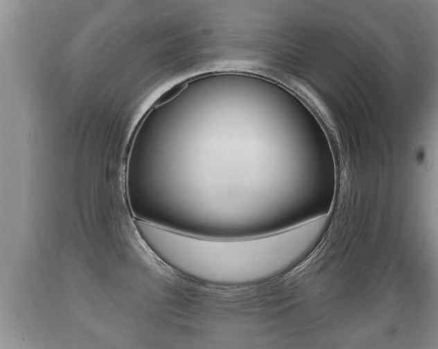 X0000089761340200706210945