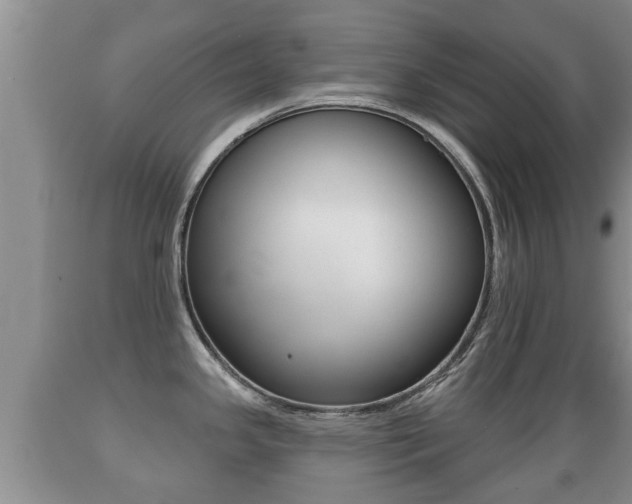 X0000089761341200706210945