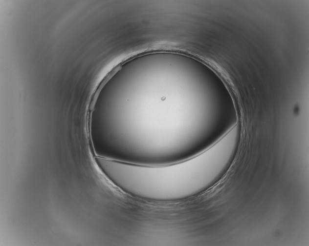 X0000089761342200706210945