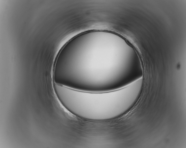 X0000089761343200706210945