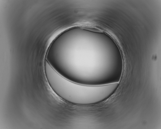 X0000089761344200706210945