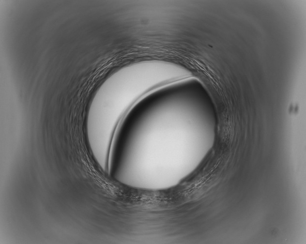 X0000089761345200706210944