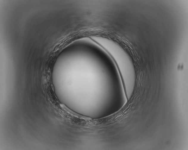 X0000089761349200706210944