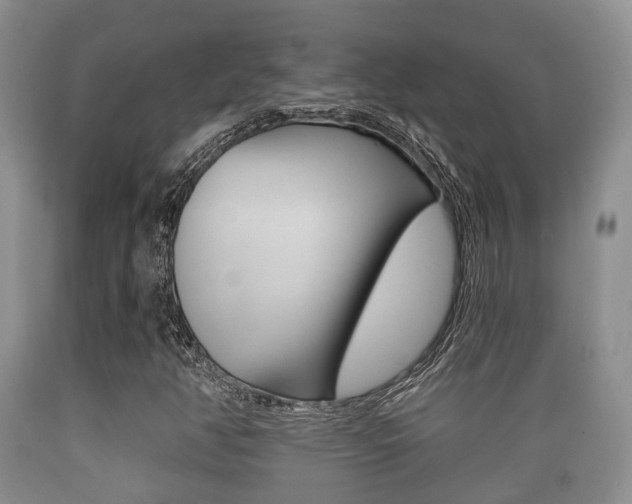 X0000089761350200706210944