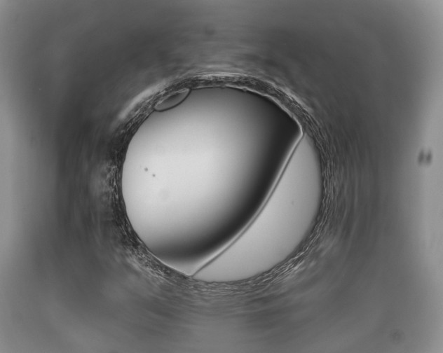 X0000089761351200706210944