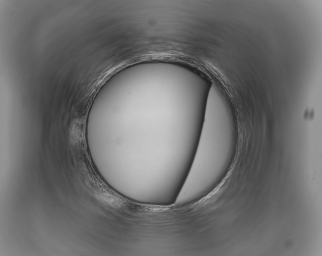X0000089761353200706210944