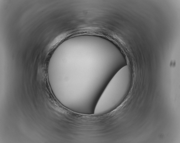X0000089761354200706210944