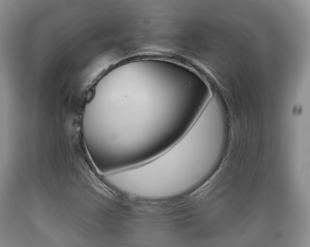 X0000089761355200706210944