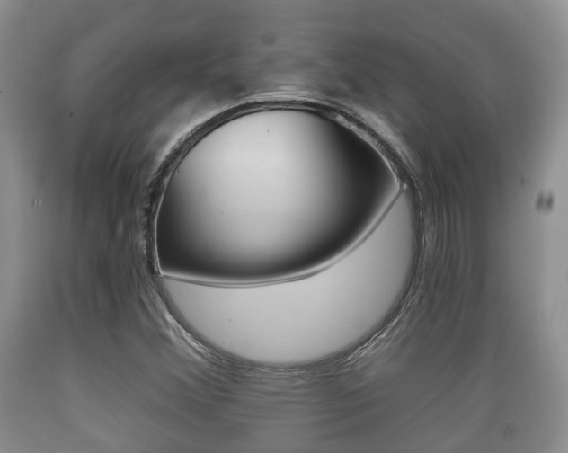 X0000089761356200706210944
