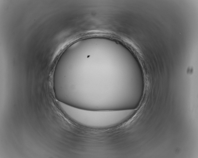 X0000089761357200706210944
