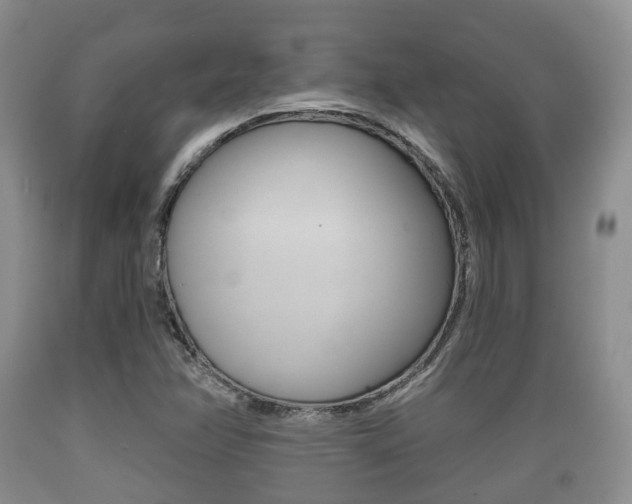 X0000089761358200706210944