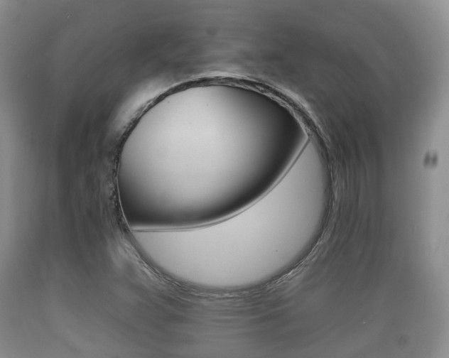 X0000089761359200706210944