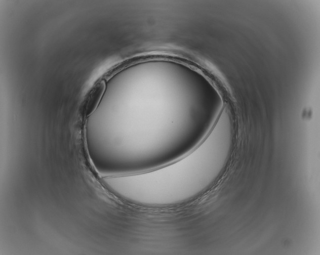 X0000089761360200706210944